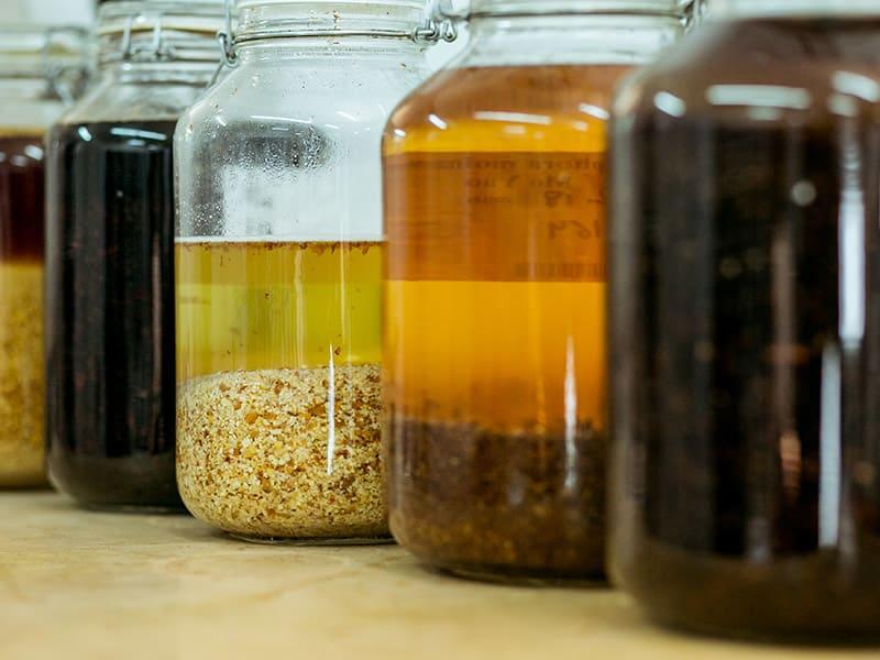 השימוש באלכוהול ברפואת הצמחים