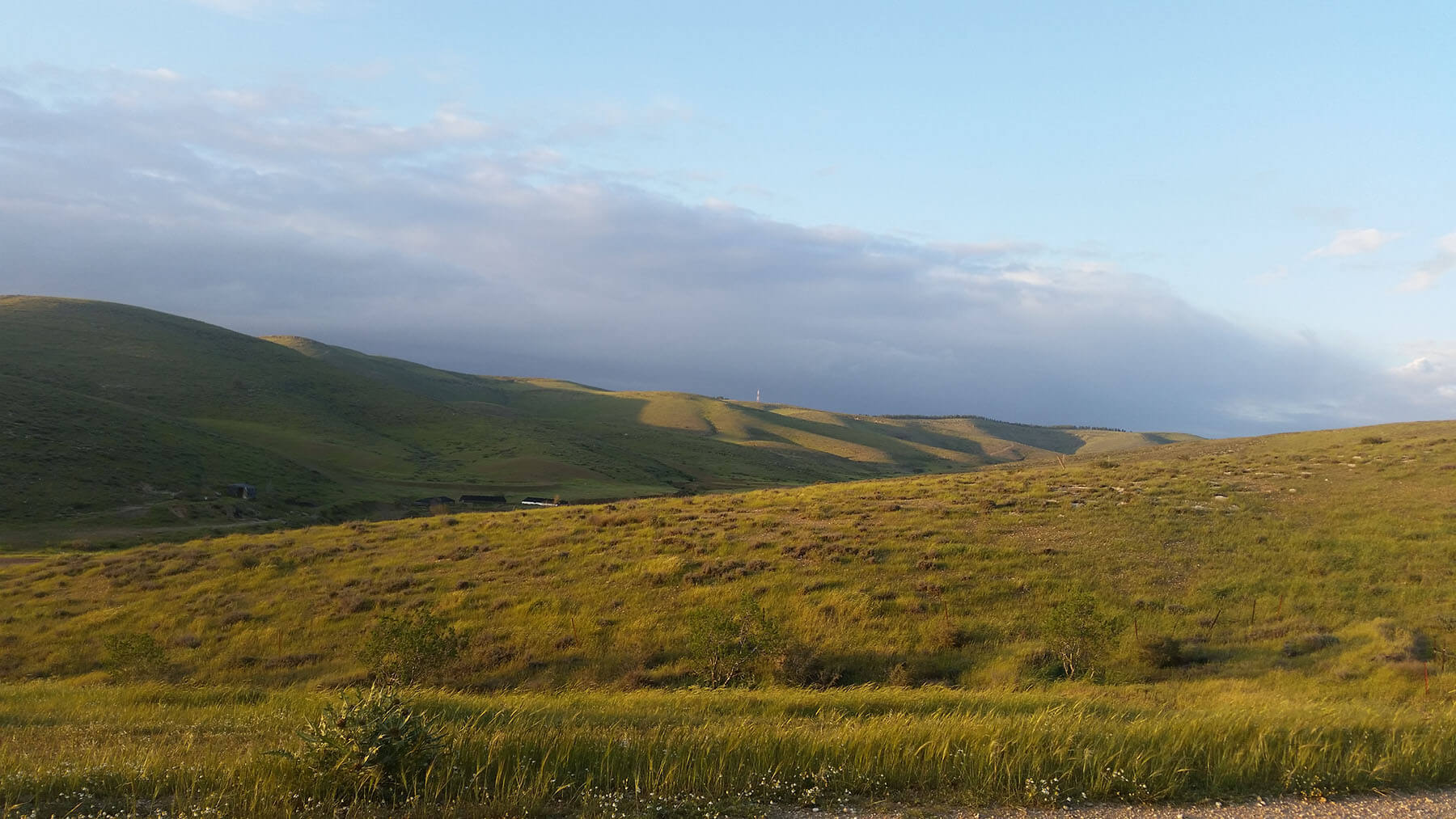 בראייה סינית – המלצות לעונת הקיץ