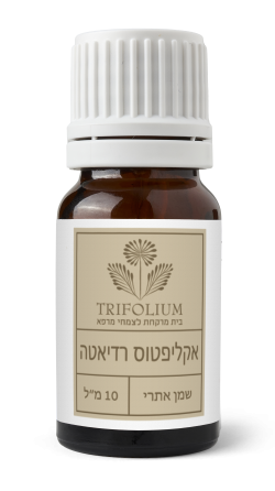 שמן אתרי אקליפטוס רדיאטה